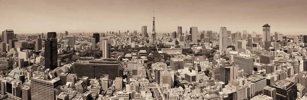 Torre de Tokio y horizonte urbano — Foto de Stock