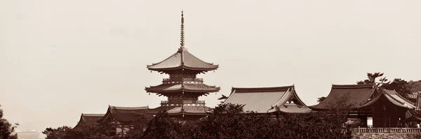 地主神社神社全景 — 图库照片