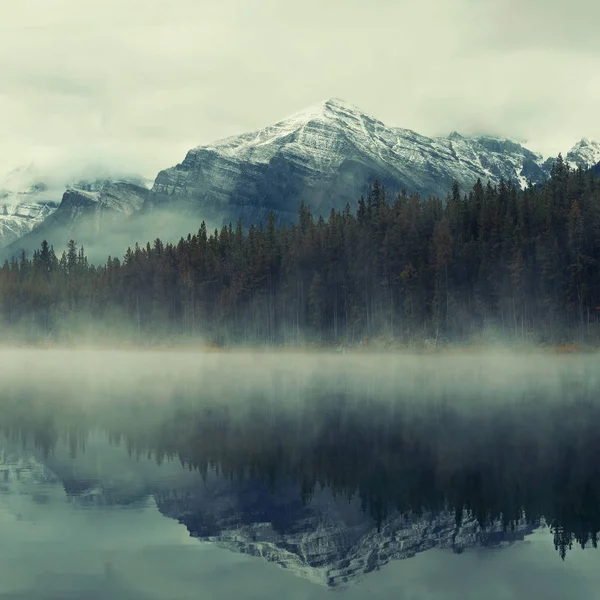 Озеро Герберт в туманное утро — стоковое фото
