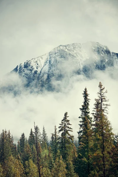 Nationaal park Banff — Stockfoto