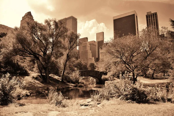 Central Park mit Skyline — Stockfoto