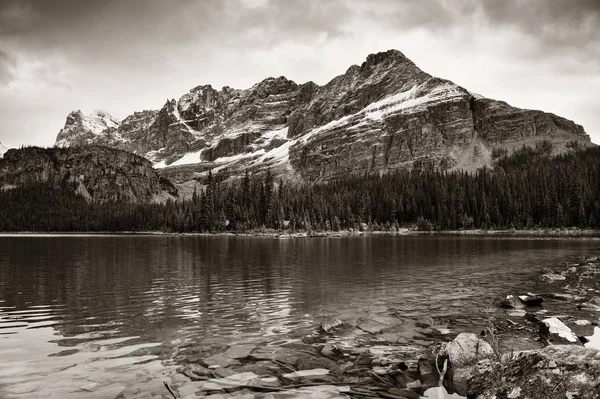 Parque Nacional Yoho — Fotografia de Stock