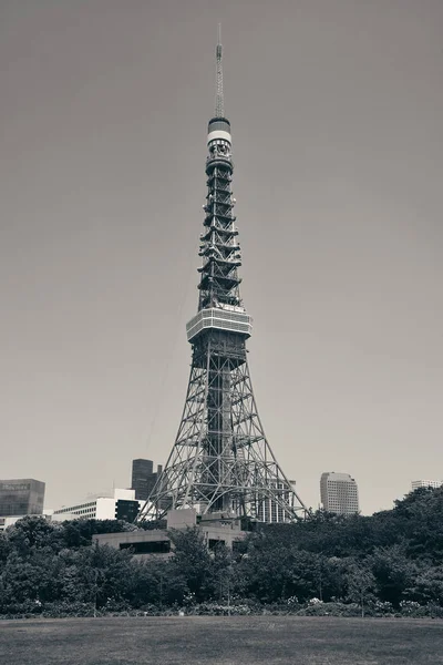 Torre de Tokio como punto de referencia de la ciudad —  Fotos de Stock