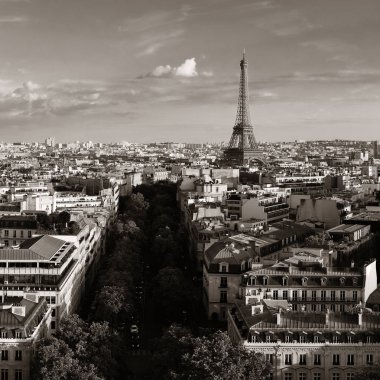 Paris çatı görünümü