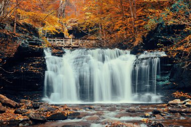 şelaleler renkli park