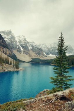 Banff Ulusal Parkı