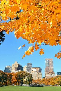 Manhattan midtown manzarası