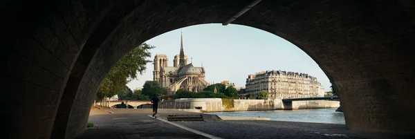 Senna con cattedrale di Notre-Dame — Foto Stock