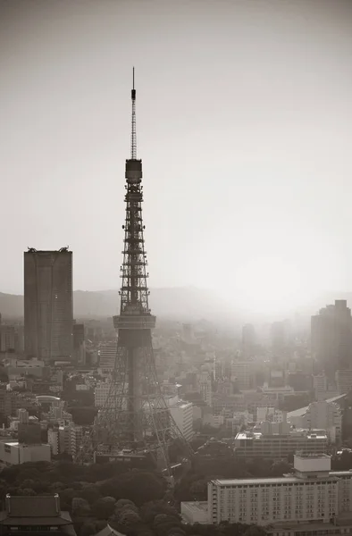 Πύργος του Τόκιο και αστικό ορίζοντα — Φωτογραφία Αρχείου