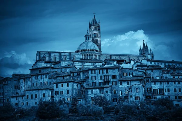 Medeltida stad med Sienas katedral — Stockfoto