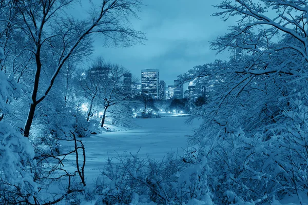 Vinter central park — Stockfoto