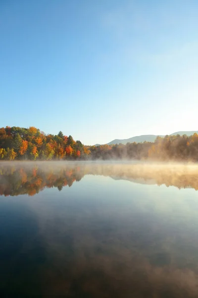 Озерний туман з осіннім листям — стокове фото