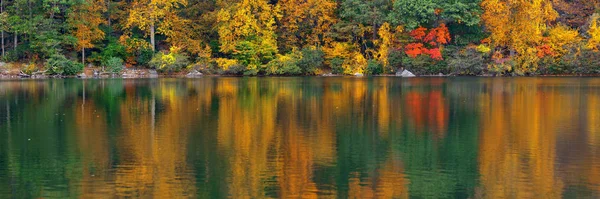 Herbst buntes Laub — Stockfoto