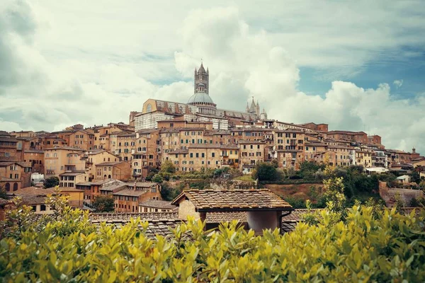 Medieval town with Siena Cathedral — Stock Photo, Image
