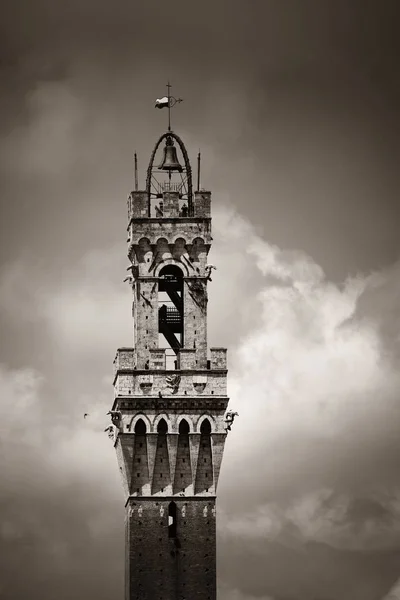 City Hall Bell Tower — Zdjęcie stockowe