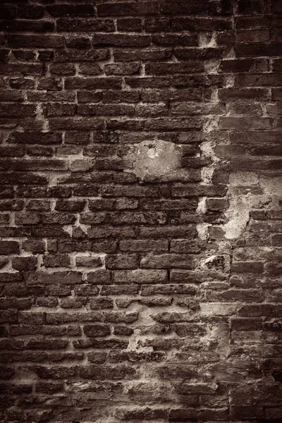 İtalya Siena eski bina — Stok fotoğraf