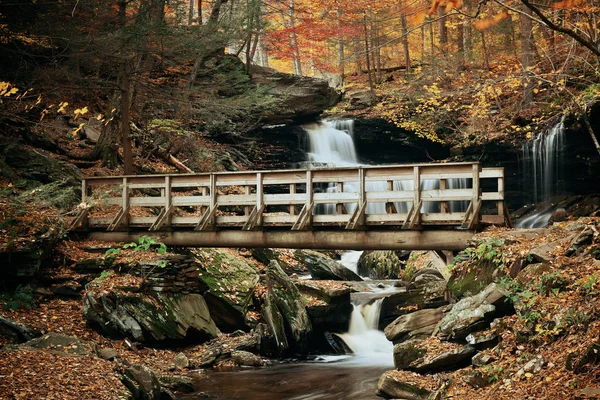 Höstens vattenfall i park — Stockfoto