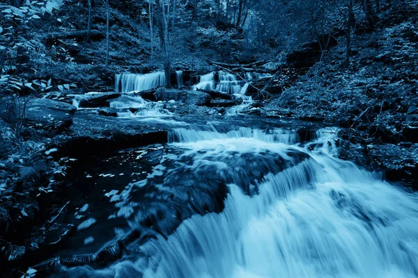 Cachoeiras na floresta em monocromático — Fotografia de Stock