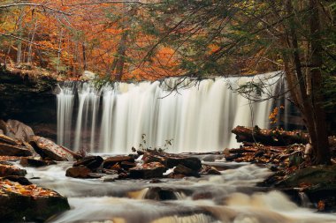 Doğal sutumn şelaleler