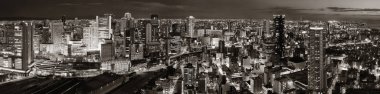 Osaka gece çatı görünümü