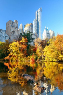 Central Park'a sonbahar