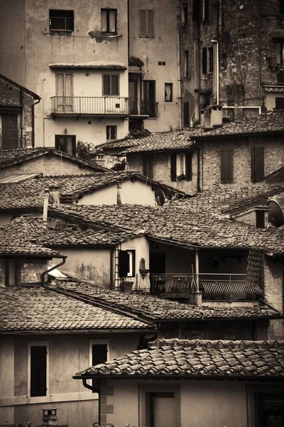 Siena İtalya eski binalar — Stok fotoğraf