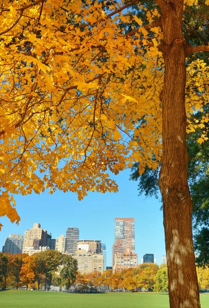 中央公園の秋 — ストック写真