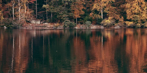 Malerischer Herbstsee — Stockfoto