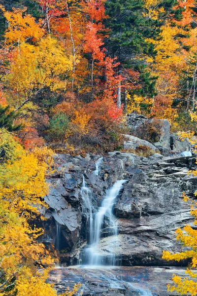 Barevný podzim creek — Stock fotografie