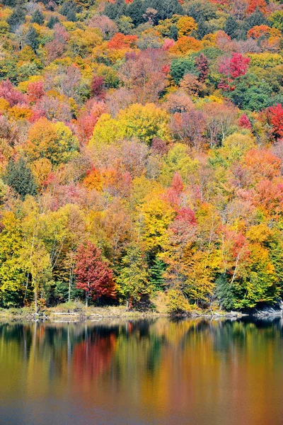 Lac dans le feuillage d'automne — Photo