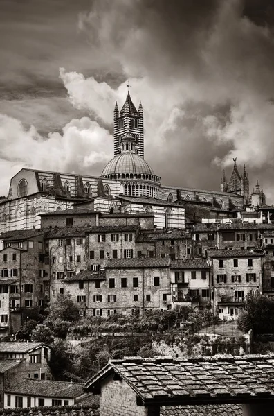 Siena Katedrali'nin görünümü — Stok fotoğraf