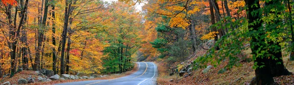 Folhagem de estrada e outono — Fotografia de Stock