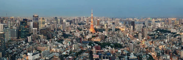 Zobacz panoramę Tokio — Zdjęcie stockowe