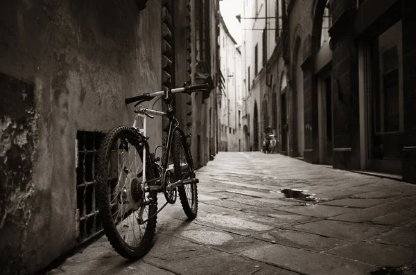 Lucca utcai kerékpár — Stock Fotó