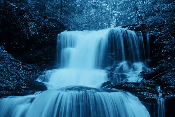 風光明媚な森の滝 — ストック写真