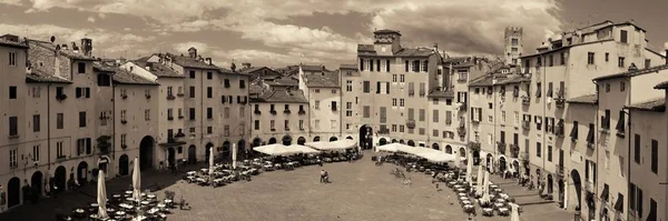 Piazza dell Anfiteatro panorama view — Zdjęcie stockowe