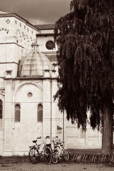 Duomo di Lucca San Martino — Foto Stock