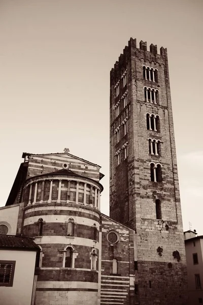 Bazilika di San Frediano v Lucce — Stock fotografie