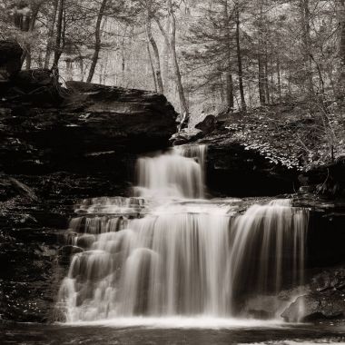 Doğal orman şelaleler