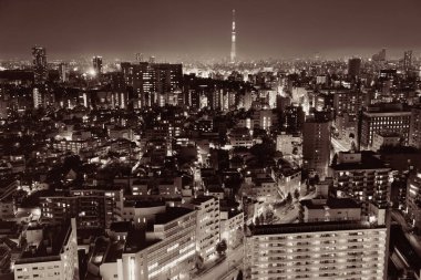 Tokyo şehir manzarası