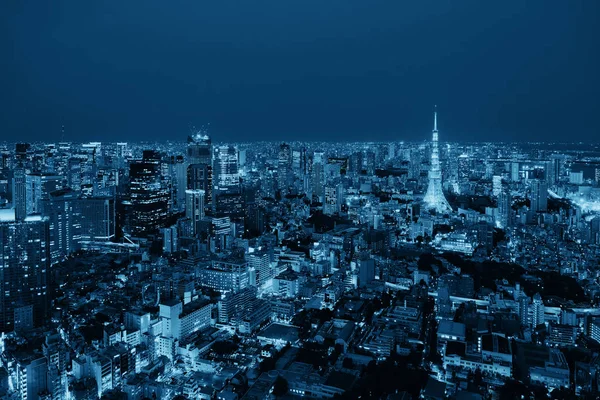Tokyo panorama pohled — Stock fotografie