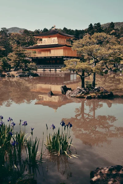 Храм Кинкаку-дзи в Киото — стоковое фото