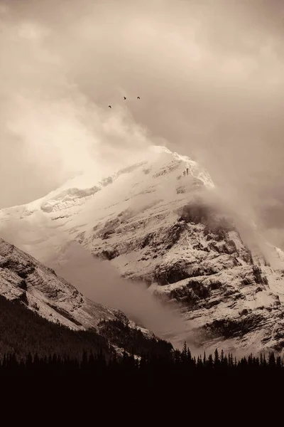 Nationaal park Banff — Stockfoto