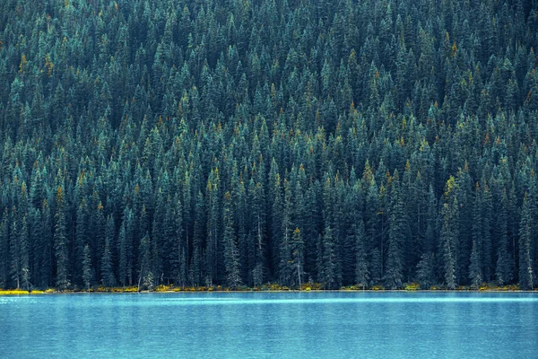 Parco nazionale di Banff — Foto Stock