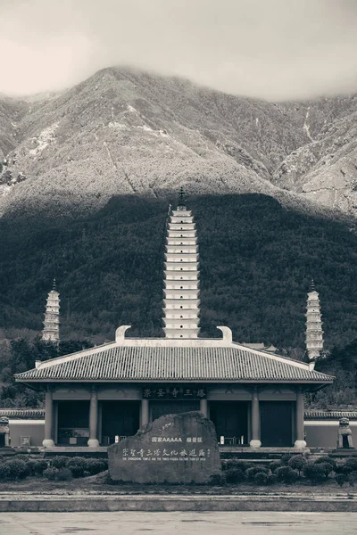 Dali pagoden i Kina — Stockfoto