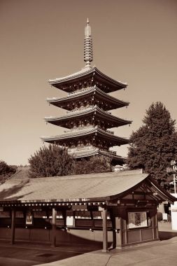 Tokyo Sensoji Tapınağı