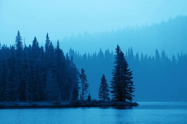 霧の森の水辺 — ストック写真