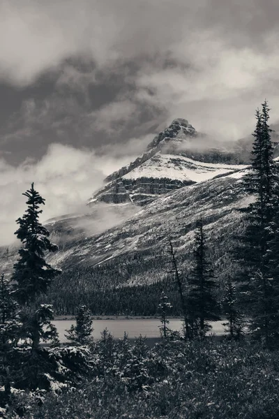 Bow lake in Canada — Stockfoto