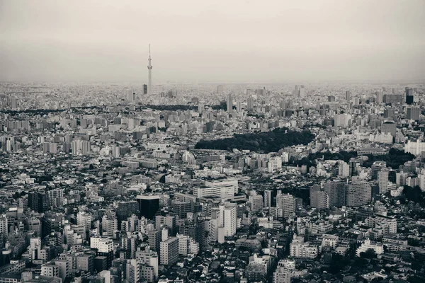 Tokyo skyline urbaine — Photo