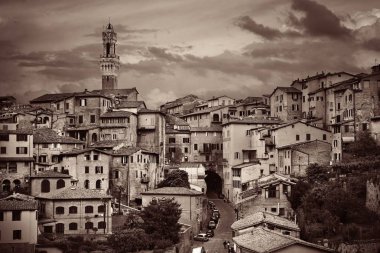 Ortaçağ şehri Siena manzarası görünümü